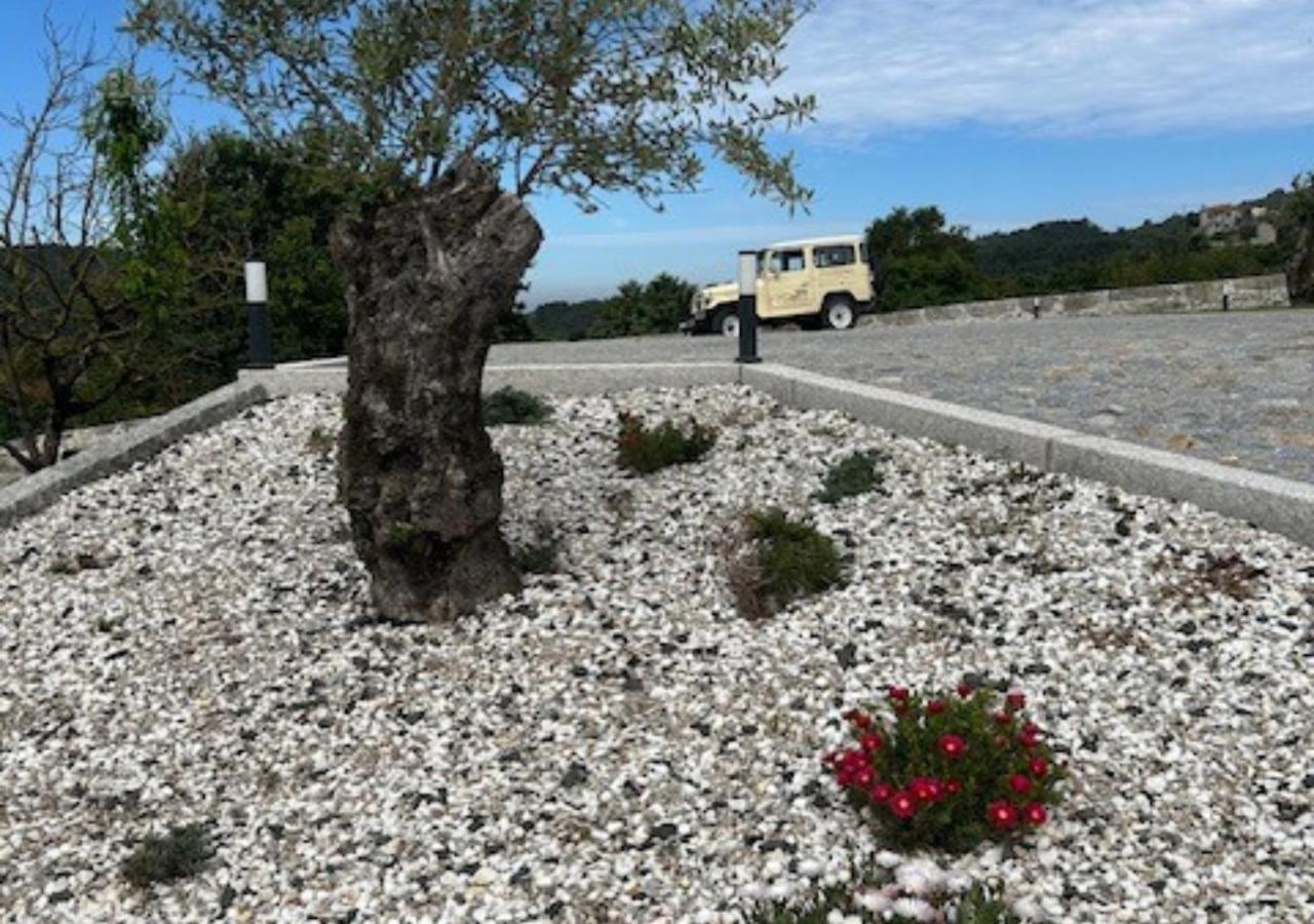 Quinta Carvoeiras